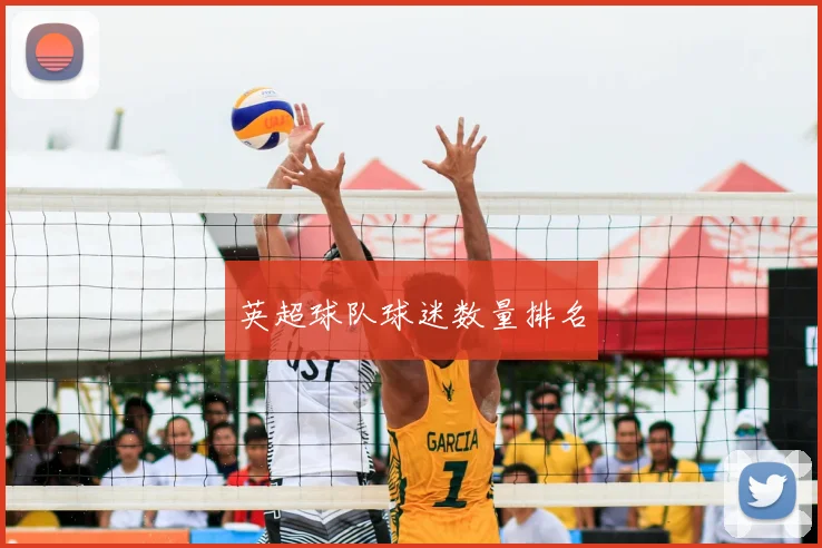 英超球队球迷数量排名