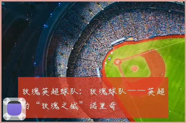 玫瑰英超球队：玫瑰球队——英超的“玫瑰之城”诺里奇