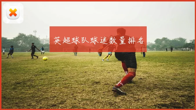 英超球队球迷数量排名