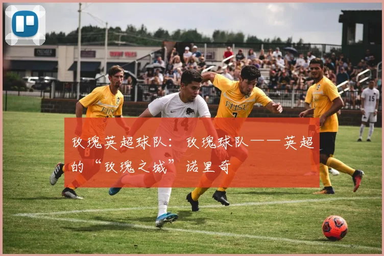 玫瑰英超球队:玫瑰球队——英超的“玫瑰之城”诺里奇