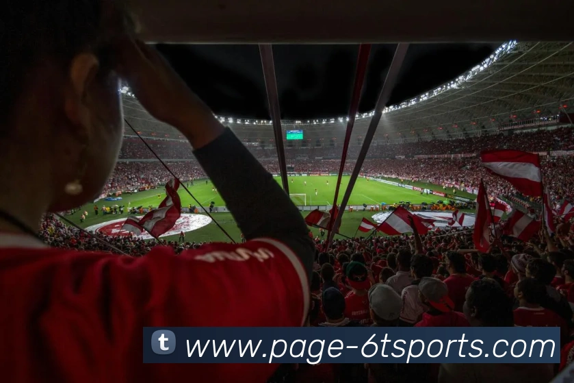 6T体育平台生态图